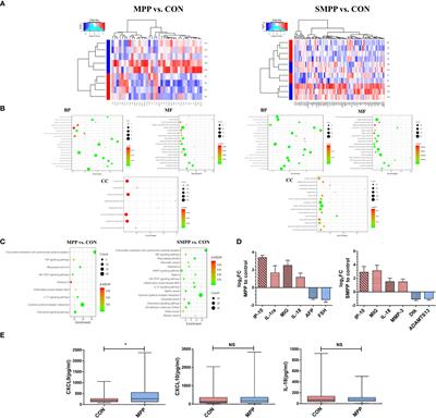 The CARDS toxin of Mycoplasma pneumoniae induces a positive feedback loop of type 1 immune response